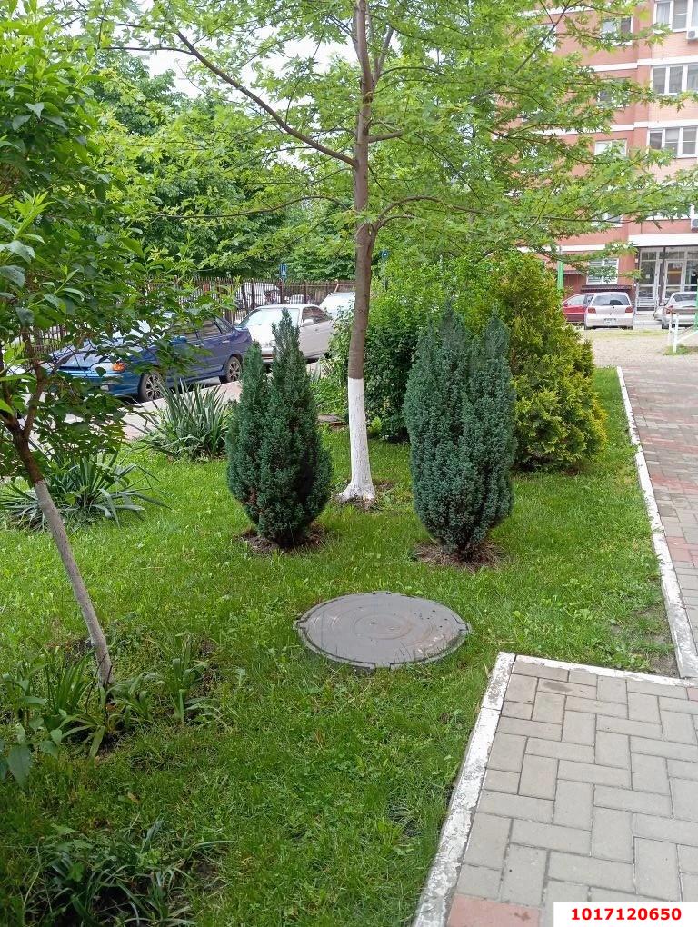 Фото №17: 1-комнатная квартира 50 м² - Краснодар, Прикубанский внутригородской округ, мкр. 9-й километр, пр-д Репина, 3/1к2