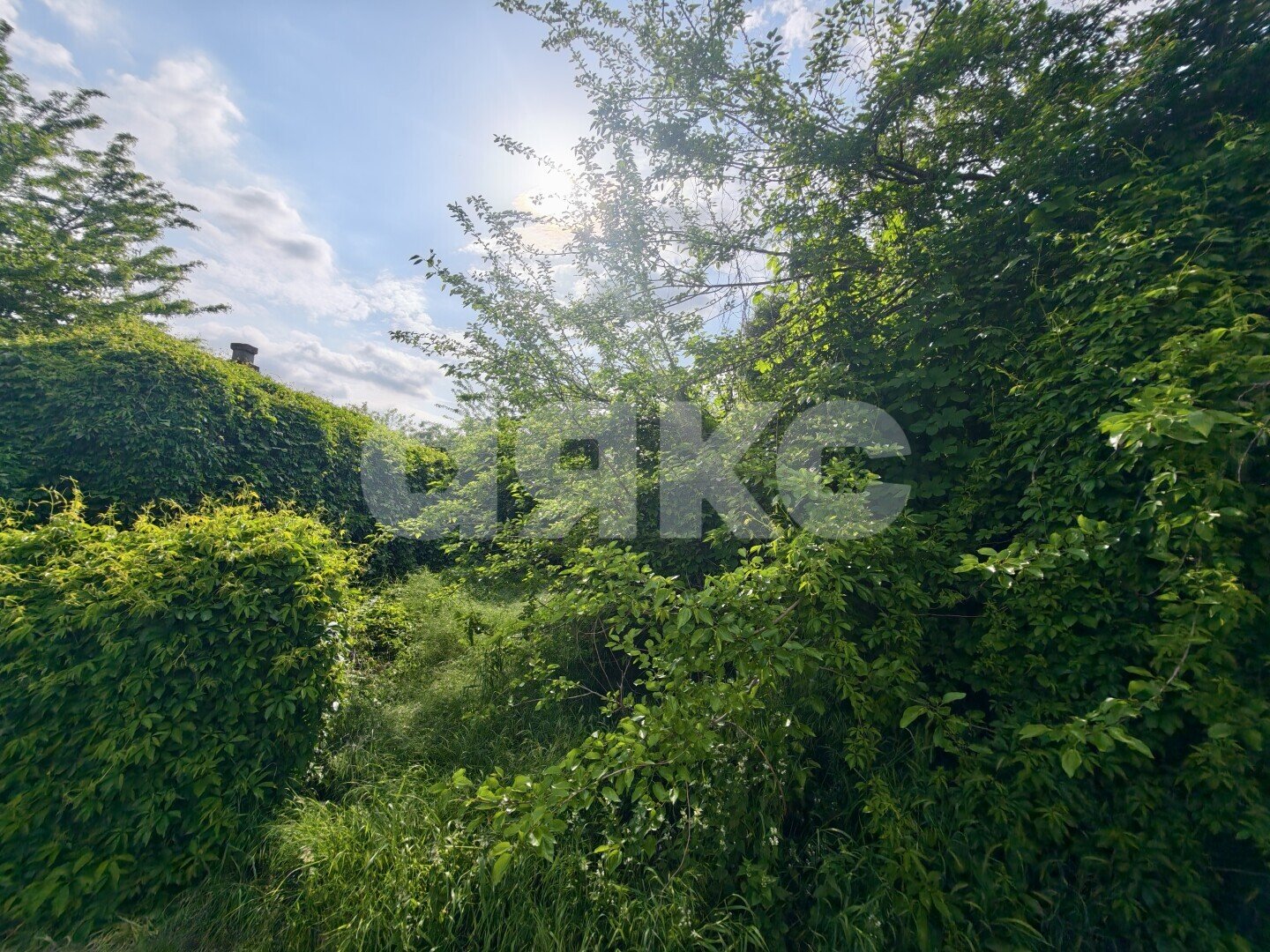 Фото №8: Земельный участок под ИЖС 35 сот. - Платнировская, ул. Октябрьская, 159