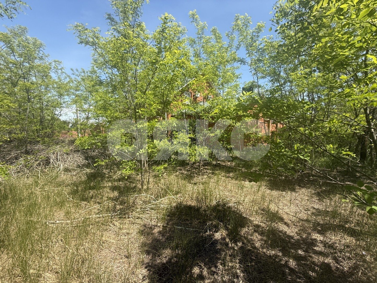 Фото №5: Земельный участок под ИЖС 14.56 сот. - Белосарайская Коса, ул. Безуха, 149А/2
