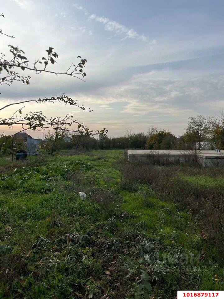 Фото №5: Земельный участок под ИЖС 18 сот. - Старонижестеблиевская, ул. Набережная, 1
