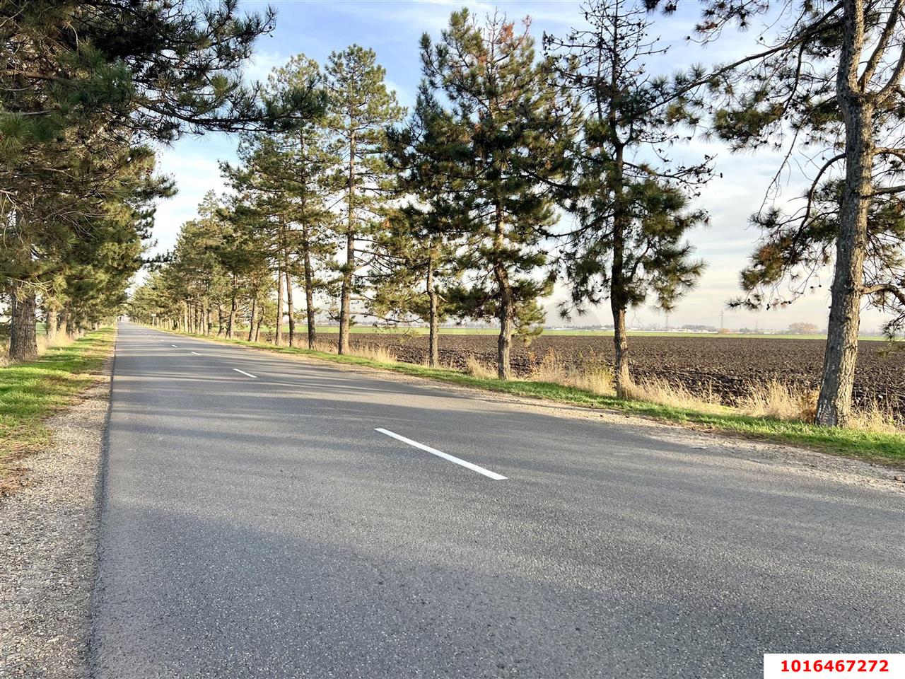 Фото №5: Коммерческая земля 10 сот. - Лазурный, мкр. Прикубанский внутригородской округ, ул. Черноморская