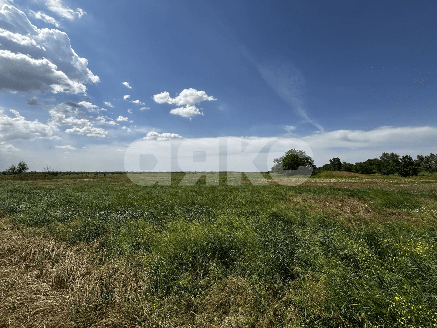 Фото №11: Коммерческая земля 4.44 сот. - Тырлы, ул. Центральная