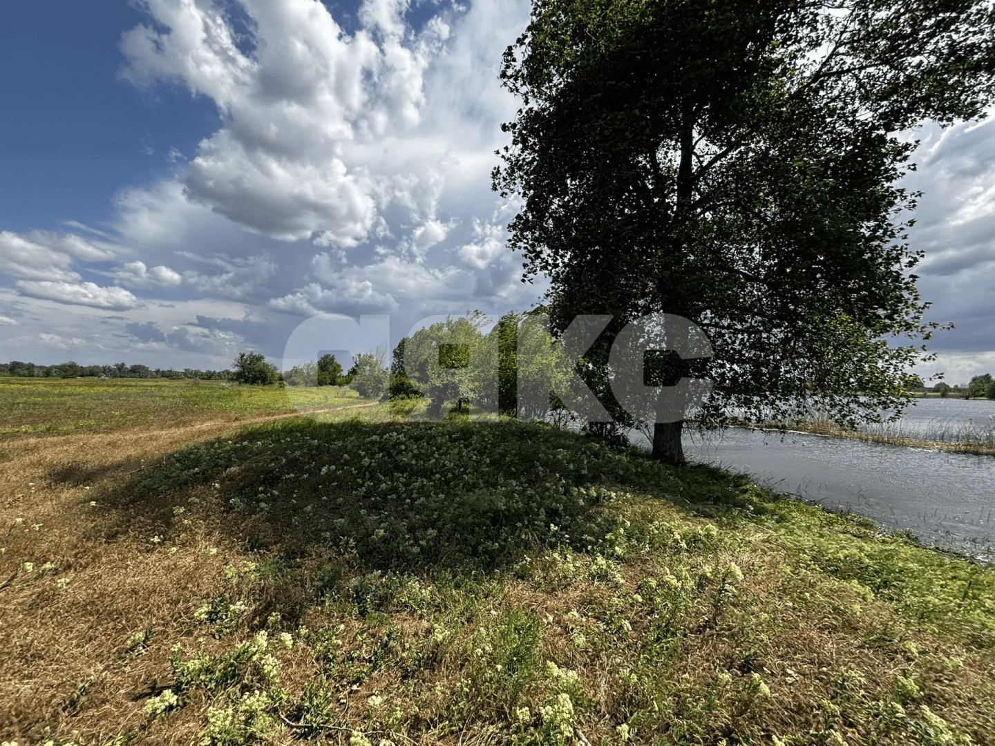 Фото №3: Коммерческая земля 4.44 сот. - Тырлы, ул. Центральная