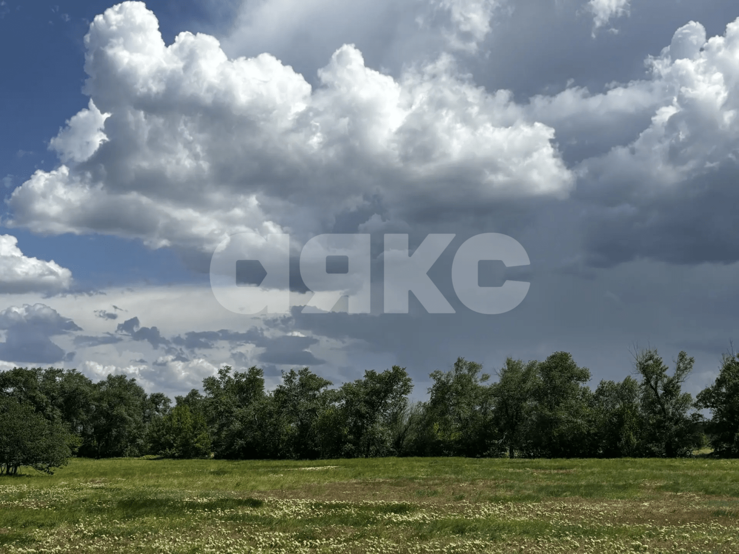 Фото №10: Коммерческая земля 4.44 сот. - Тырлы, ул. Центральная
