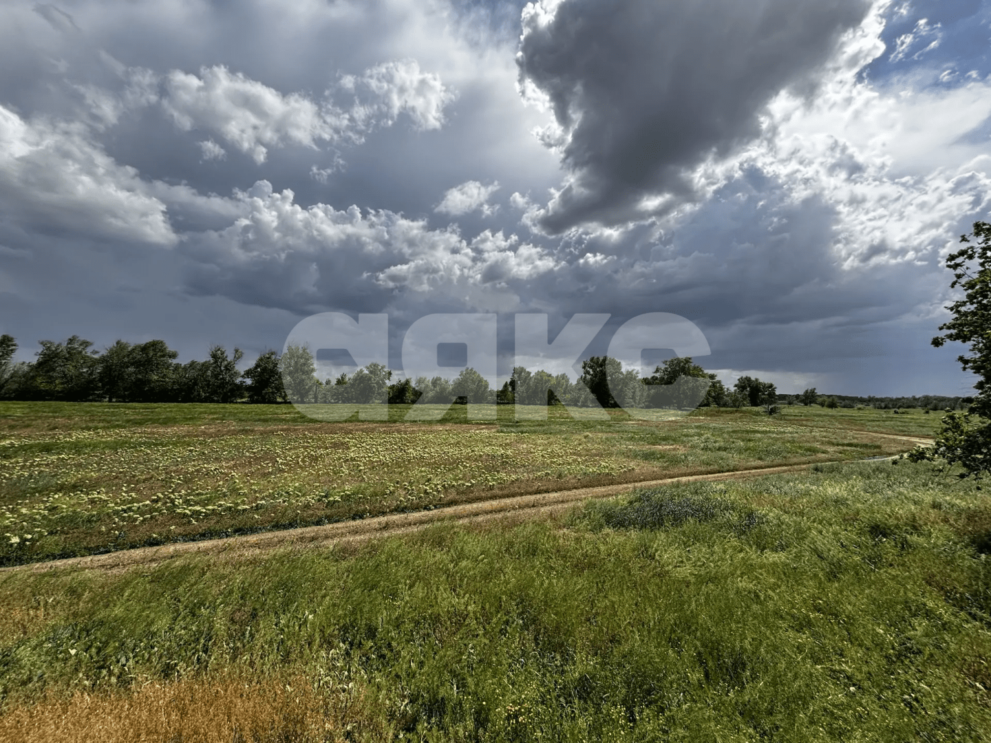 Фото №5: Коммерческая земля 4.44 сот. - Тырлы, ул. Центральная