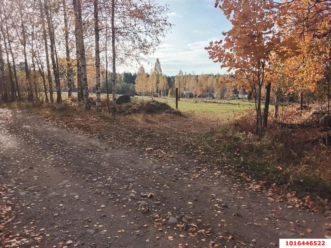 Фото №3: Личное подсобное хозяйство <span class="whitespace-nowrap">51 сот.</span> - Республика Карелия Сортавальский муниципальный округ