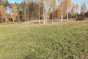 Фото №1: Личное подсобное хозяйство <span class="whitespace-nowrap">51 сот.</span> - Республика Карелия Сортавальский муниципальный округ