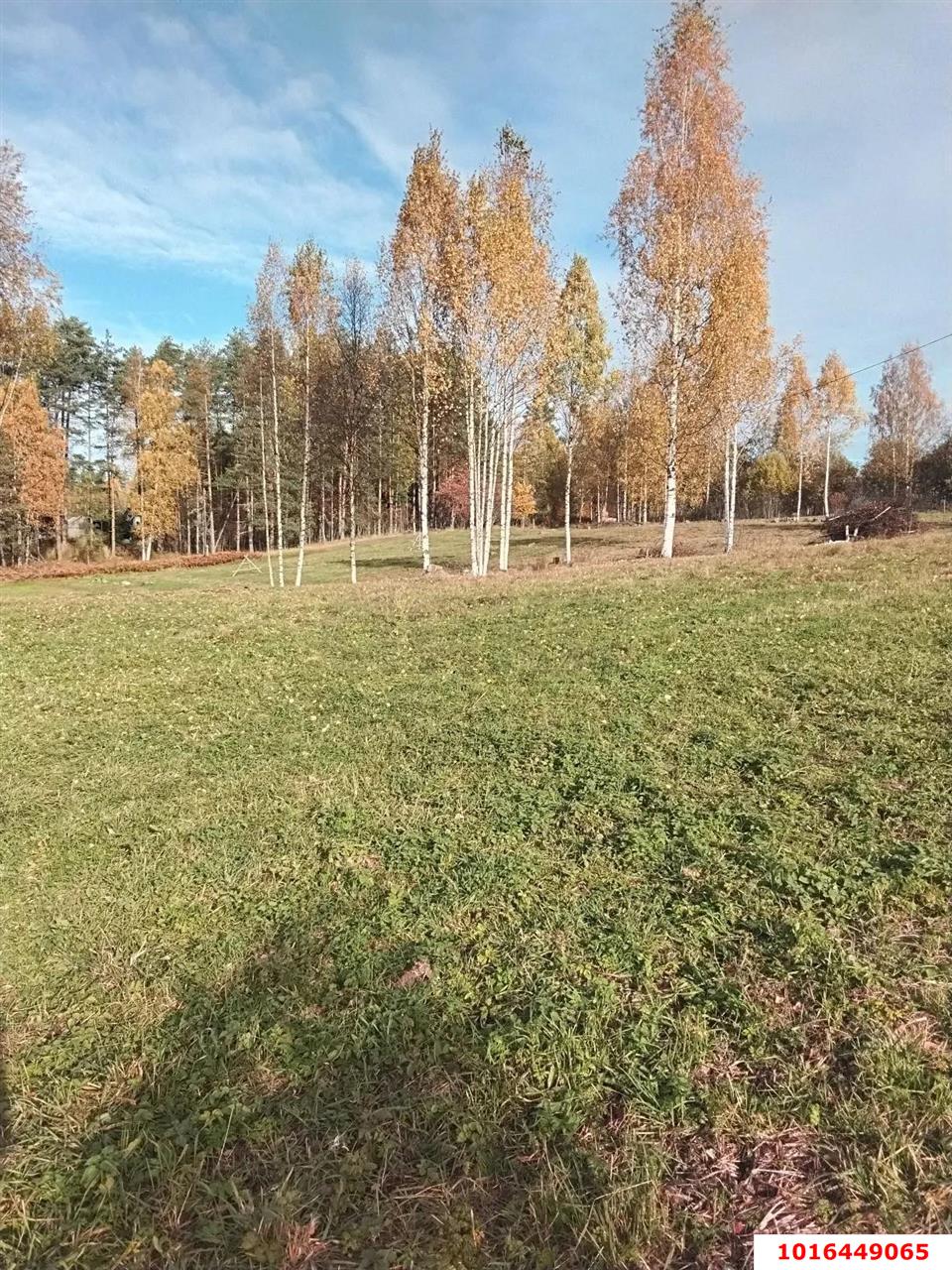 Фото №1: Личное подсобное хозяйство <span class="whitespace-nowrap">51 сот.</span> - Республика Карелия Сортавальский муниципальный округ