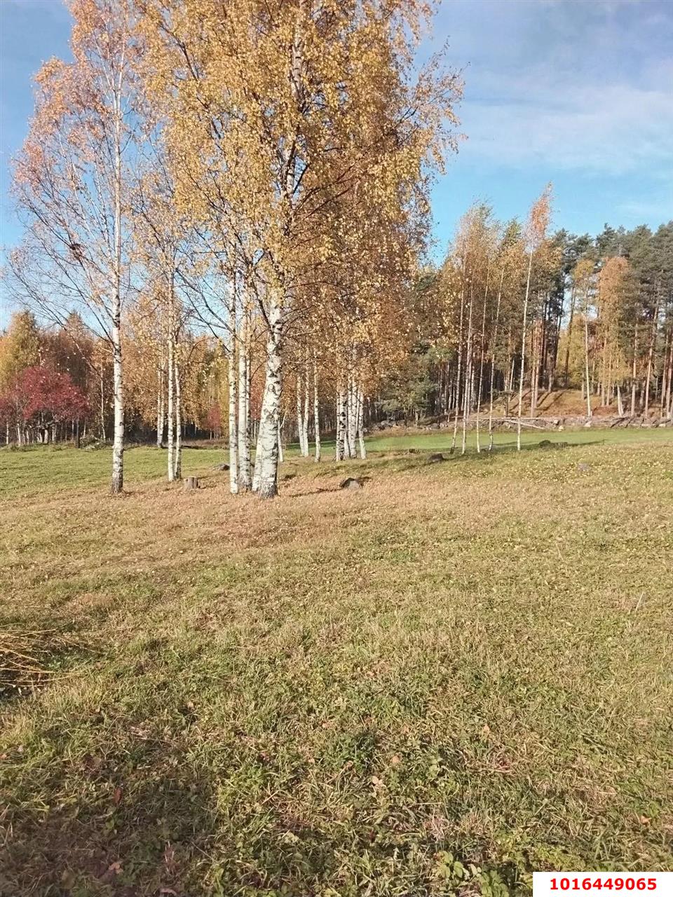 Фото №2: Личное подсобное хозяйство <span class="whitespace-nowrap">51 сот.</span> - Республика Карелия Сортавальский муниципальный округ
