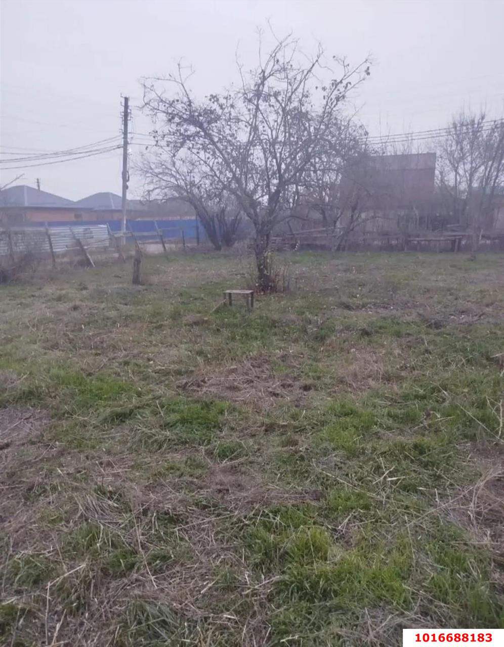 Фото №5: Личное подсобное хозяйство 6.3 сот. - Елизаветинская, Прикубанский внутригородской округ, мкр. СНТ Кубань-2, ул. Центральная