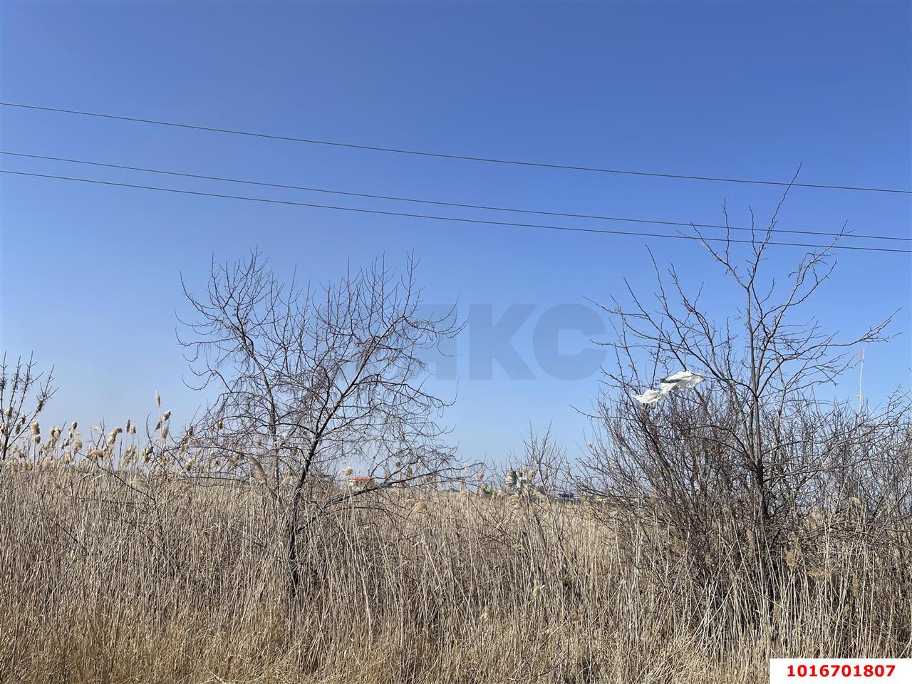 Фото №5: Коммерческая земля 750 сот. - Темрюк, ул. Западная