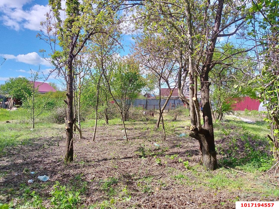 Фото №4: Личное подсобное хозяйство - Железнодорожник-3, мкр. Карасунский внутригородской округ, ул. Звёздная, 329