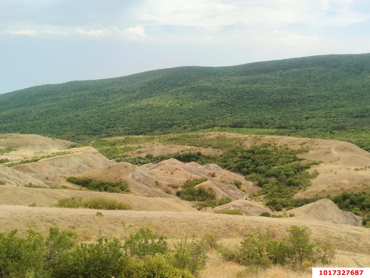 Фото №4: Коммерческая земля 5 сот. - Изюмовка