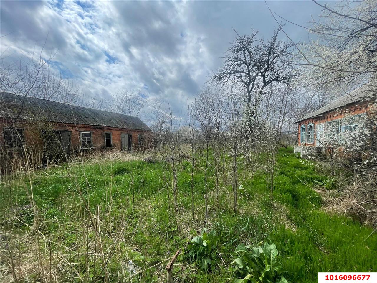 Фото №6: Земельный участок под ИЖС 48 сот. - Старобжегокай, ул. Калинина, 36