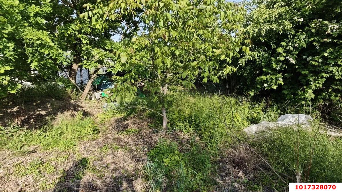 Фото №6: Личное подсобное хозяйство - НСТ Степное, мкр. Прикубанский внутригородской округ, ул. Крайняя, 148