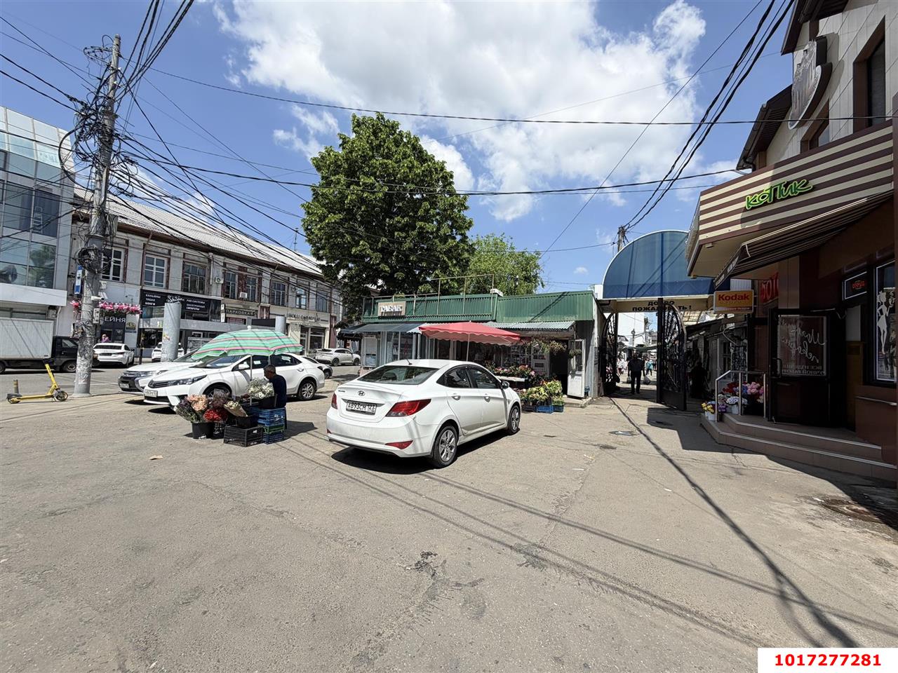 Фото №3: Торговое помещение 31 м² - Краснодар, Центральный внутригородской округ, мкр. Центральный, ул. Красноармейская