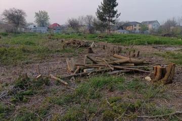 Фото №1: Дом 34 м² - Старокорсунская, мкр. Карасунский внутригородской округ, ул. Чонгарская