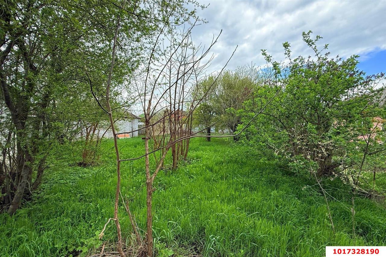Фото №5: Личное подсобное хозяйство 6.18 сот. - СНТ Политехник, мкр. Прикубанский внутригородской округ, ул. Зелёная, 281