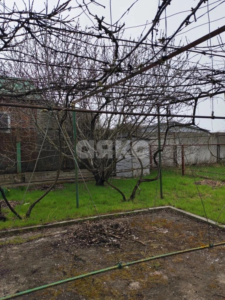 Фото №4: Земельный участок под ИЖС 1298 сот. - Урзуф, ул. Центральная