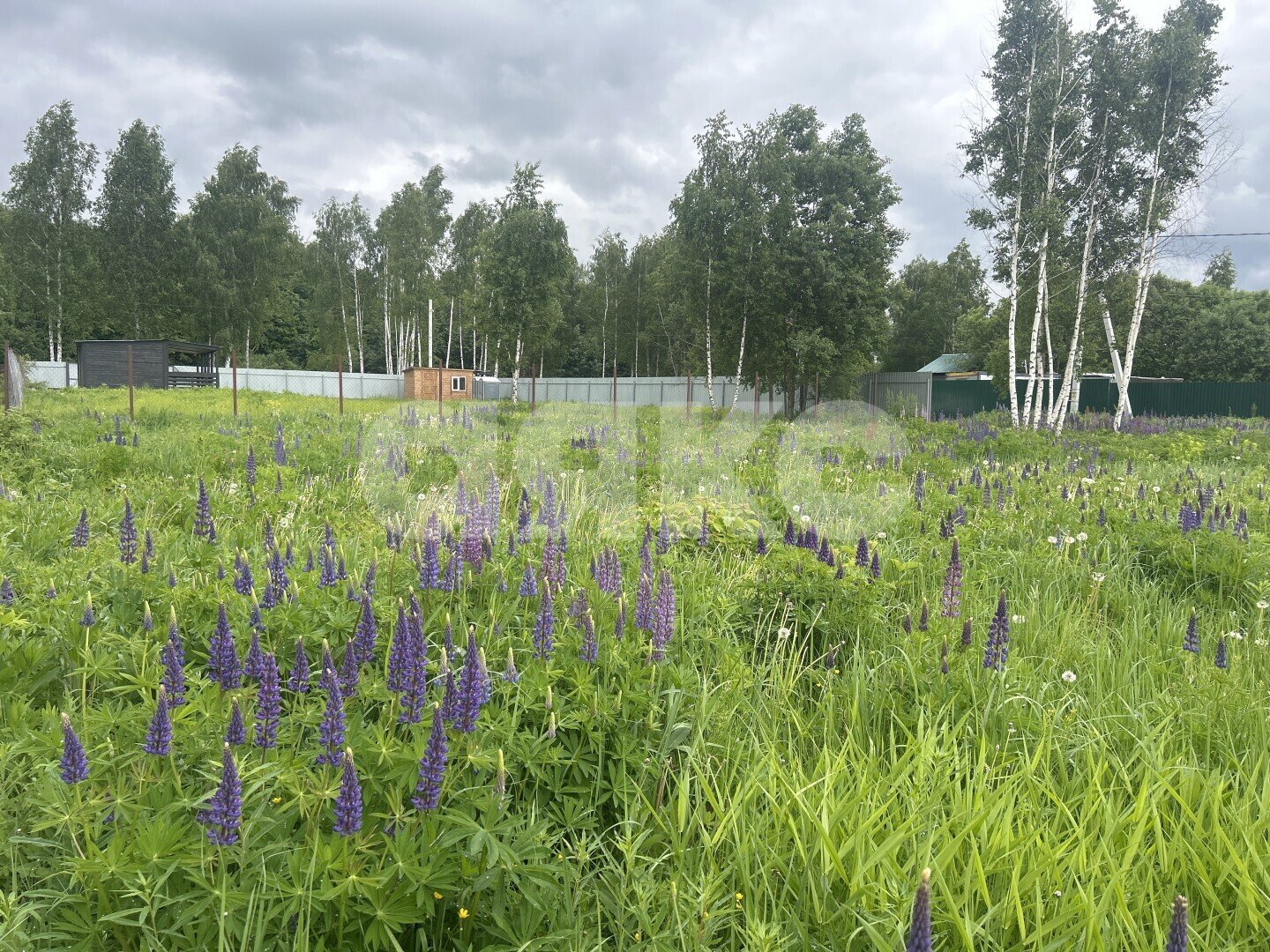 Фото №6: Участок садоводство <span class="whitespace-nowrap">10 сот.</span> - Московская область городской округ Воскресенск