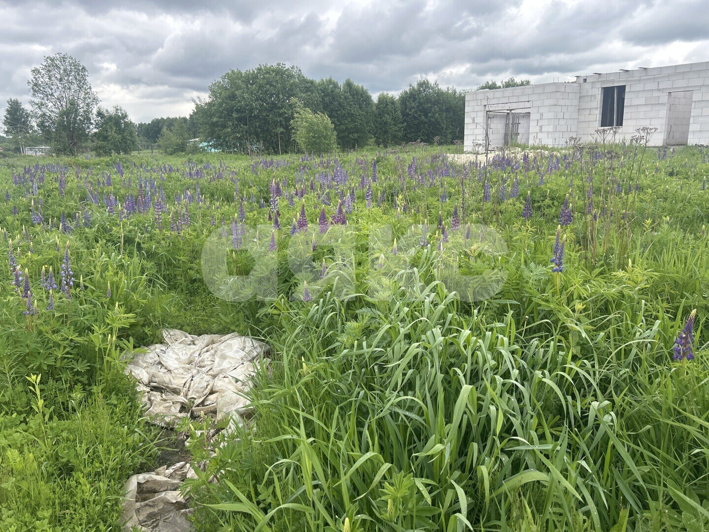 Фото №6: Участок садоводство <span class="whitespace-nowrap">8.74 сот.</span> - Московская область городской округ Воскресенск