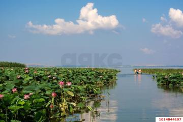 Фото №1: Коммерческая земля <span class="whitespace-nowrap">25.18 сот.</span> - Краснодарский край Темрюкский район