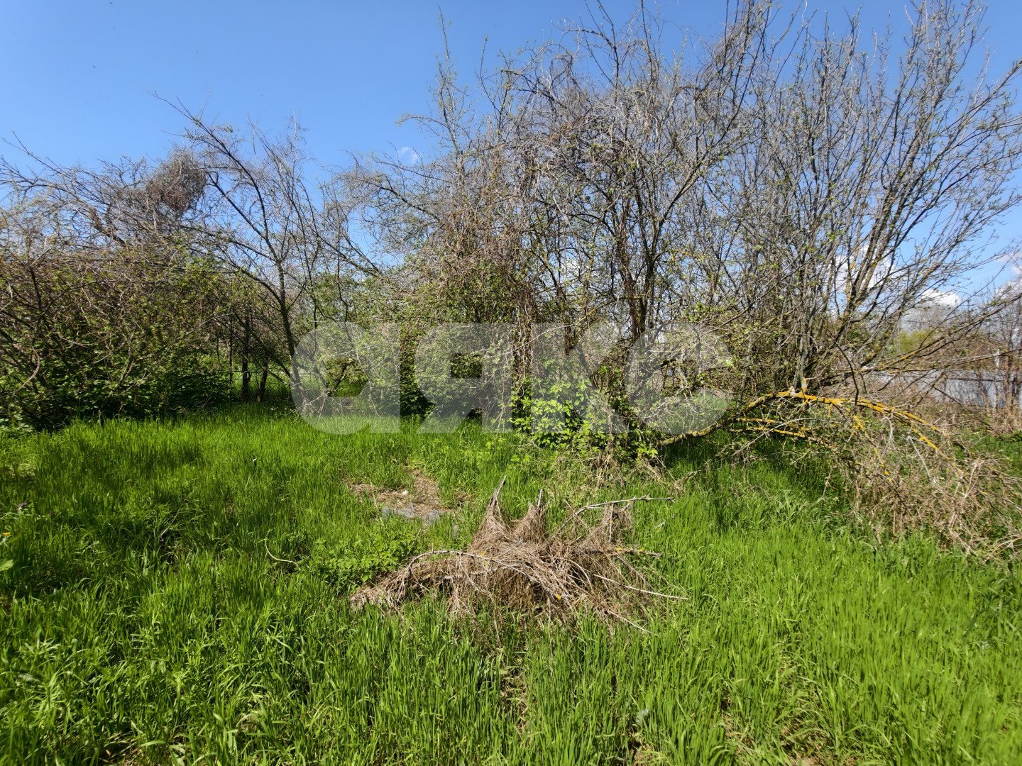 Фото №5: Дом <span class="whitespace-nowrap">32 м²</span> <span class="whitespace-nowrap">+ 12.4 сот.</span>, <span class="whitespace-nowrap">1 эт.</span> - Кореновск, ул. Гвардейская
