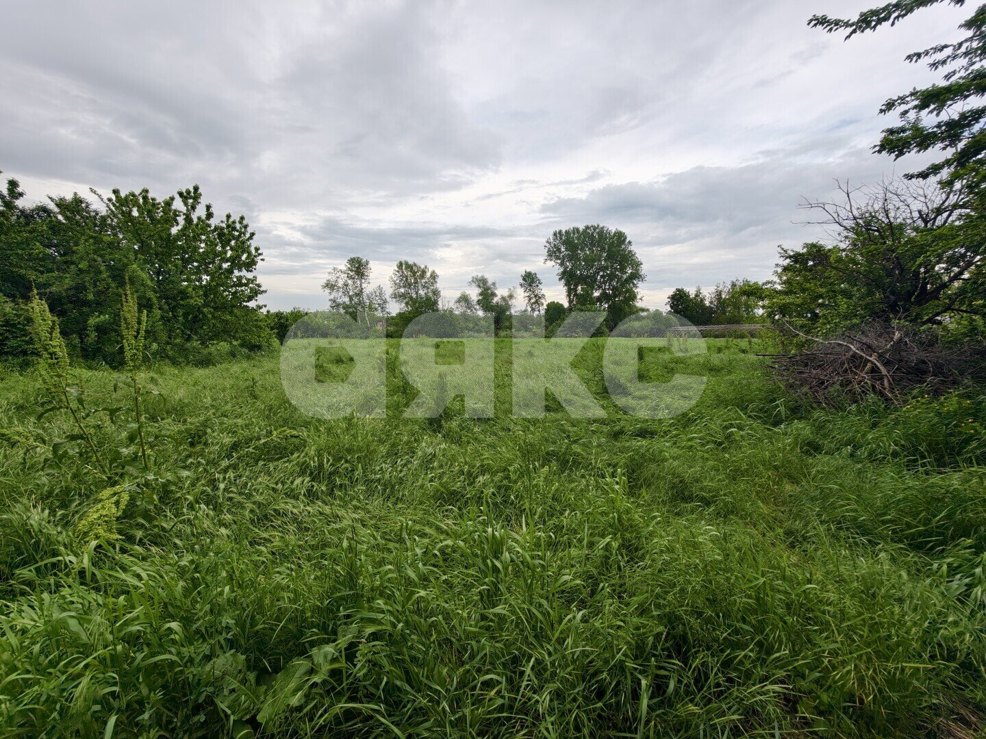 Фото №9: Земельный участок под ИЖС <span class="whitespace-nowrap">23.27 сот.</span> - Казаче-Малёваный, ул. Южная, 210