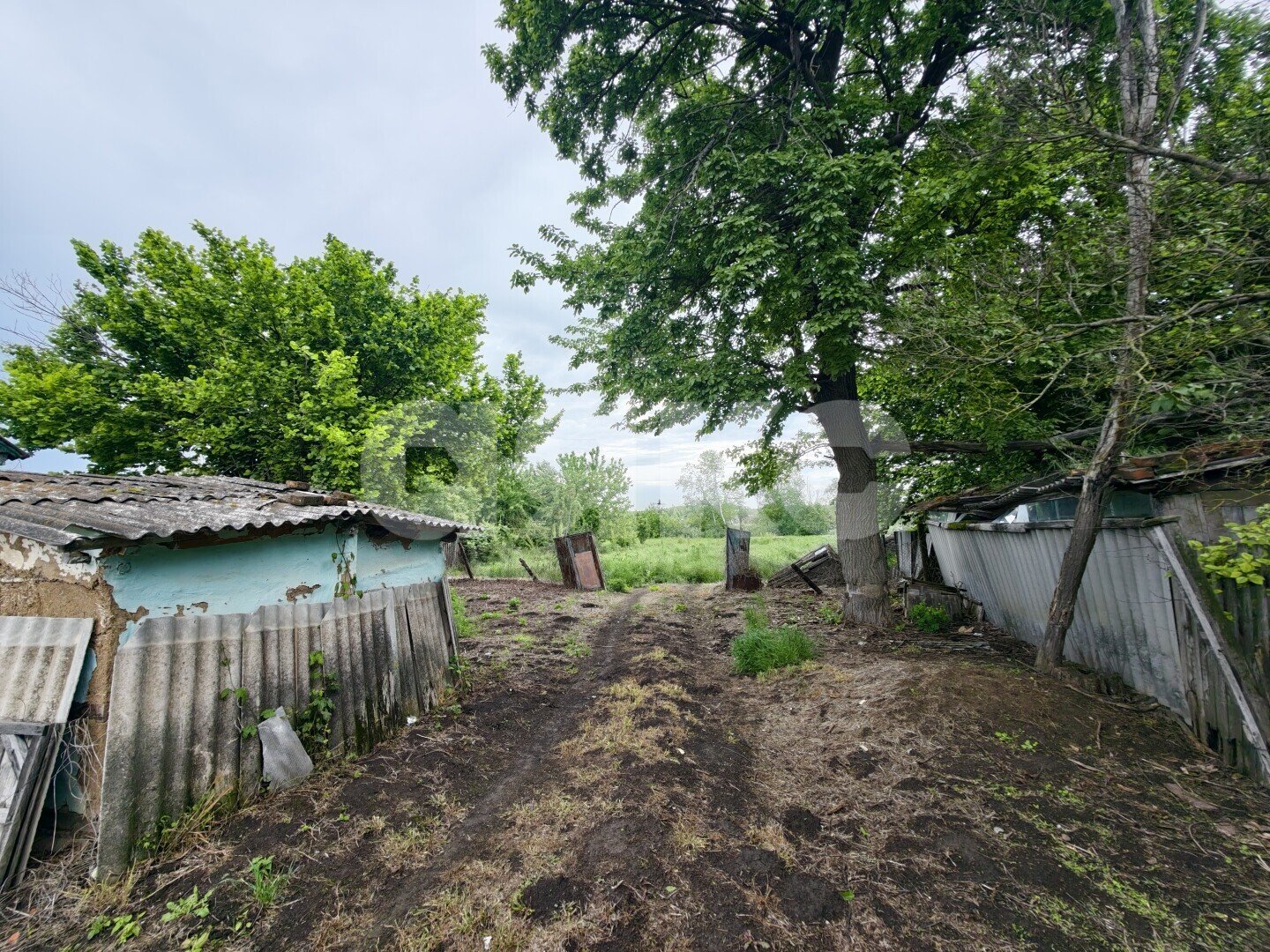 Фото №7: Земельный участок под ИЖС <span class="whitespace-nowrap">23.27 сот.</span> - Казаче-Малёваный, ул. Южная, 210