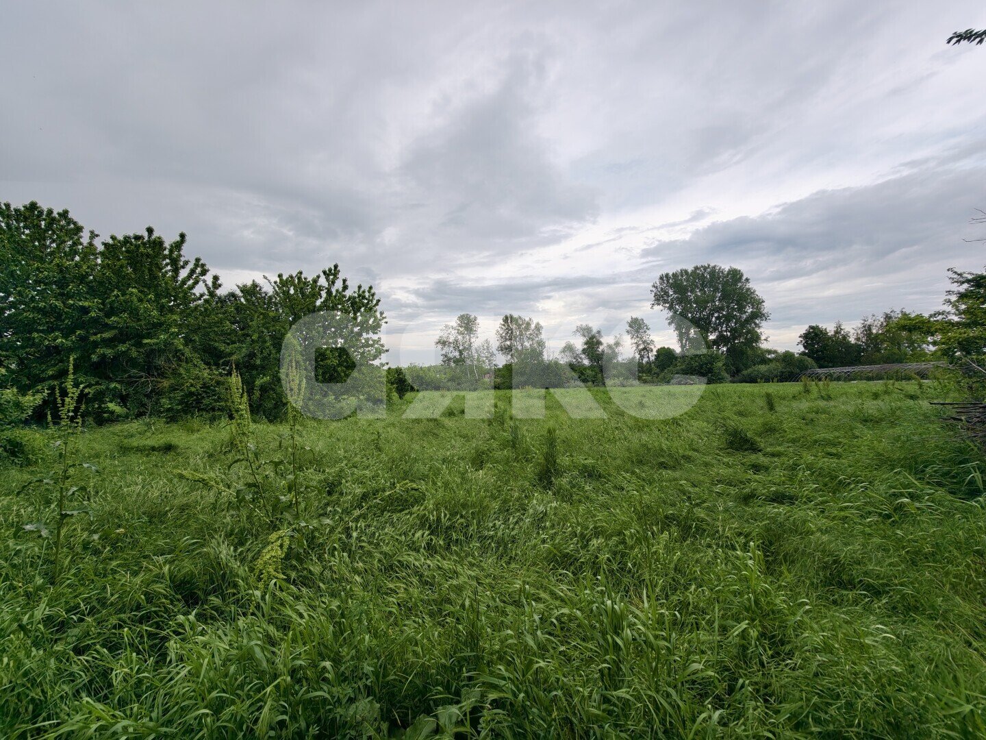 Фото №10: Земельный участок под ИЖС <span class="whitespace-nowrap">23.27 сот.</span> - Казаче-Малёваный, ул. Южная, 210