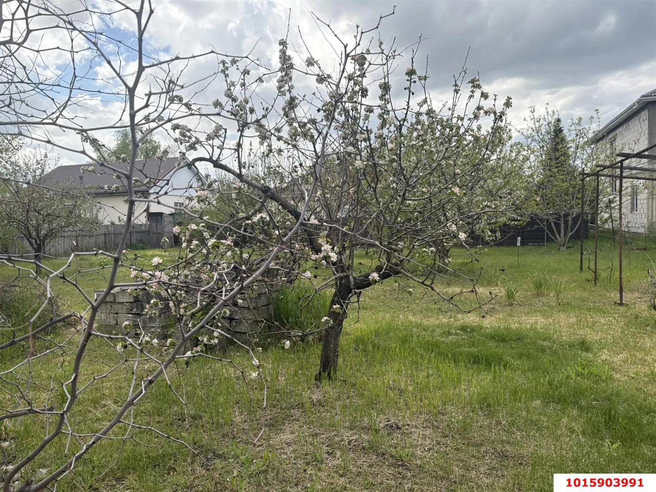 Фото №3: Личное подсобное хозяйство 4.24 сот. - Орбита, мкр. Прикубанский внутригородской округ, ул. Клубничная, 87