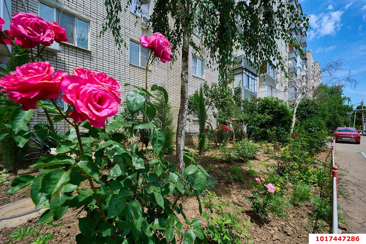 Фото №18: 3-комнатная квартира <span class="whitespace-nowrap">67 м²</span>, <span class="whitespace-nowrap">5/10 эт.</span> - Краснодар, Центральный внутригородской округ, мкр. Черёмушки, ул. Свободная, 67