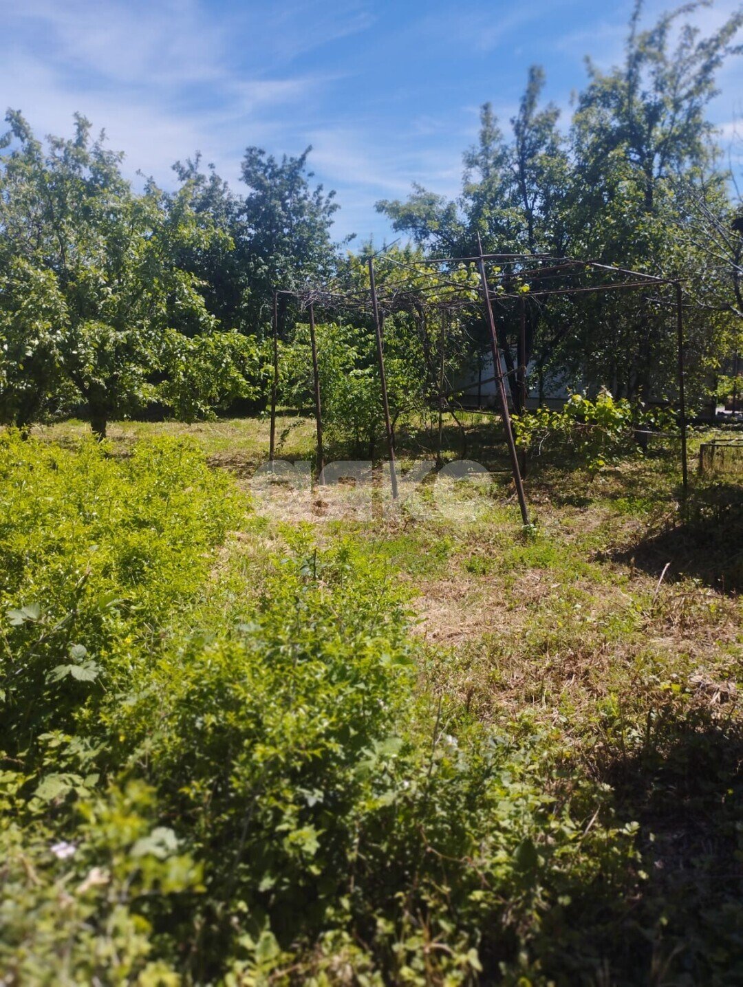 Фото №5: Участок садоводство 5.15 сот. - Армавир, мкр. СНТ Железнодорожник, пр-д Каштановый, 83