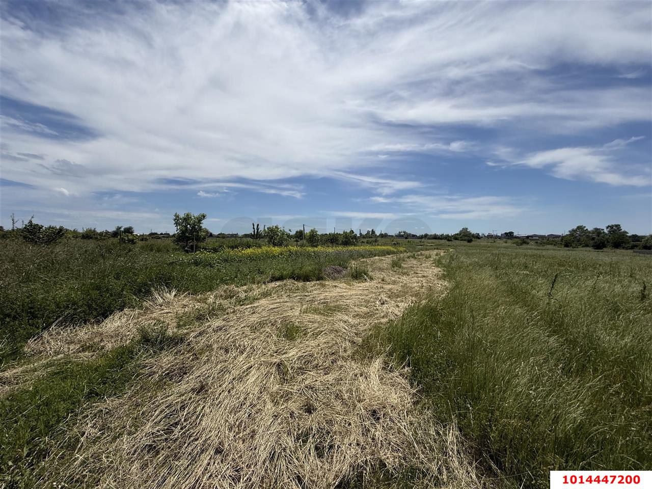 Фото №4: Коммерческая земля 394 сот. - Казазов, ул. Войсковая, 7