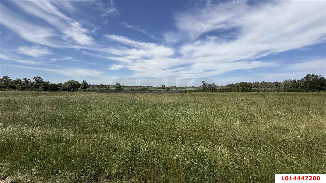 Фото №10: Коммерческая земля 394 сот. - Казазов, ул. Войсковая, 7
