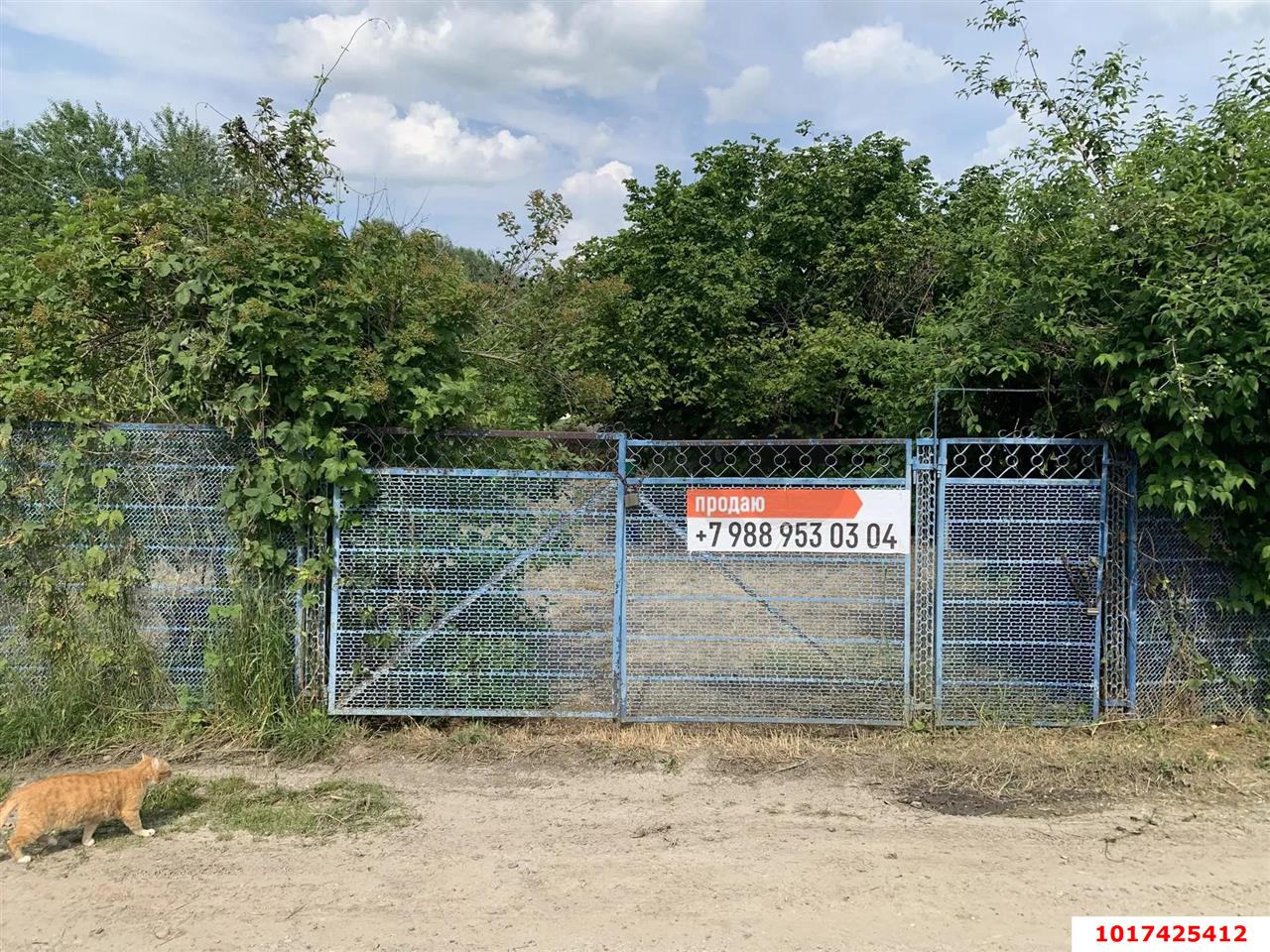 Фото №5: Личное подсобное хозяйство <span class="whitespace-nowrap">3.9 сот.</span> - Виктория, мкр. Карасунский внутригородской округ, ул. Малиновая