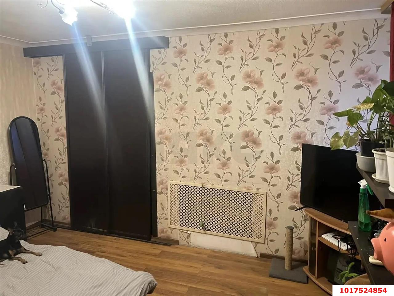 Фото №5: 2-комнатная квартира <span class="whitespace-nowrap">33 м²</span>, <span class="whitespace-nowrap">1/2 эт.</span> - Краснодар, Центральный внутригородской округ, мкр. Черёмушки, ул. Новая, 69