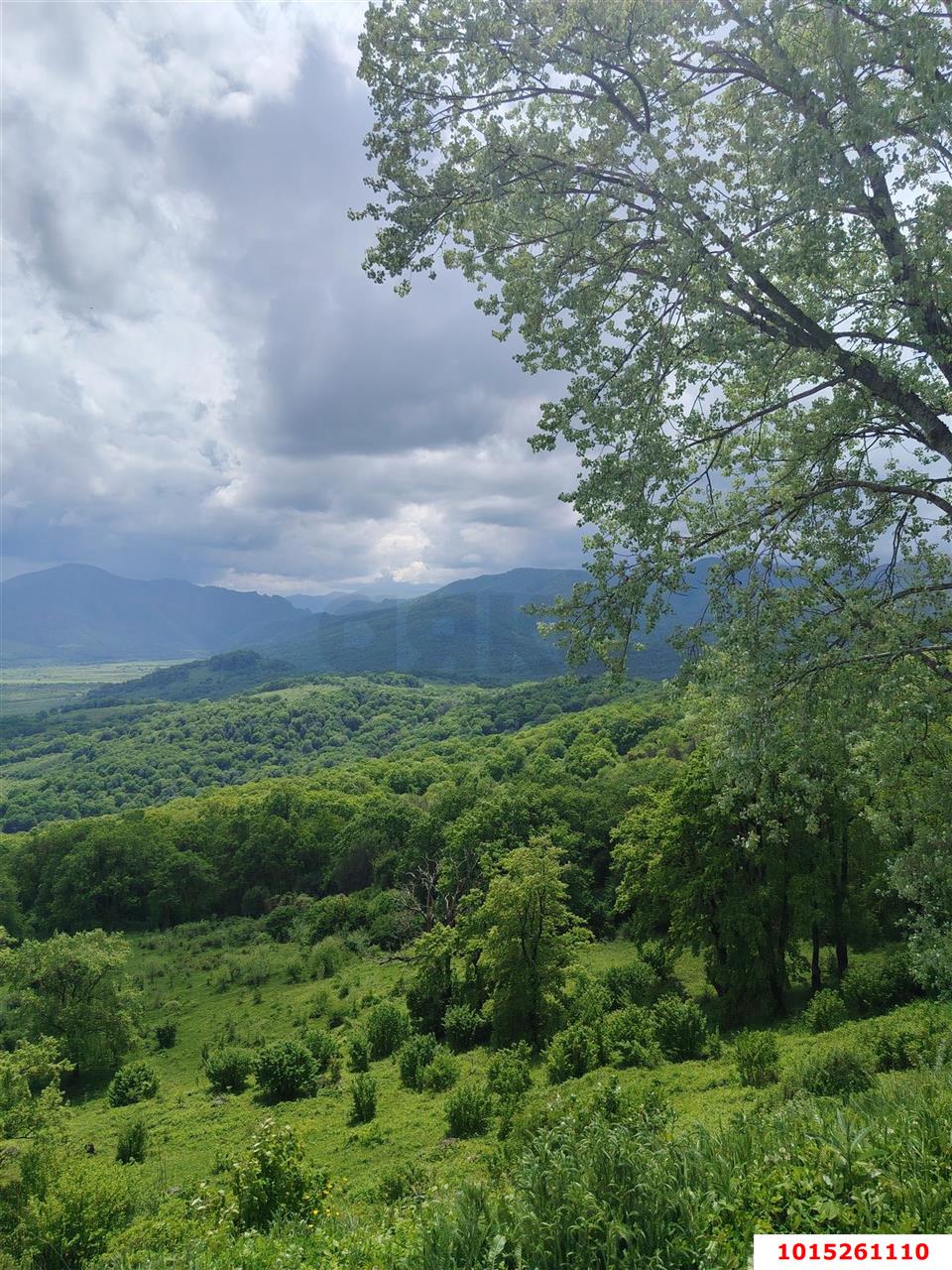 Фото №10: Дом <span class="whitespace-nowrap">99 м²</span> <span class="whitespace-nowrap">+ 4 сот.</span>, <span class="whitespace-nowrap">1 эт.</span> - Даховская, ул. Гуляева
