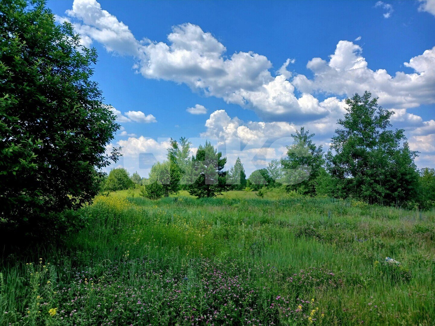Фото №4: Дом <span class="whitespace-nowrap">111 м²</span> <span class="whitespace-nowrap">+ 11.82 сот.</span>, <span class="whitespace-nowrap">1 эт.</span> - Капитанщино, мкр. КП Отрадный, ул. Мирная, 28