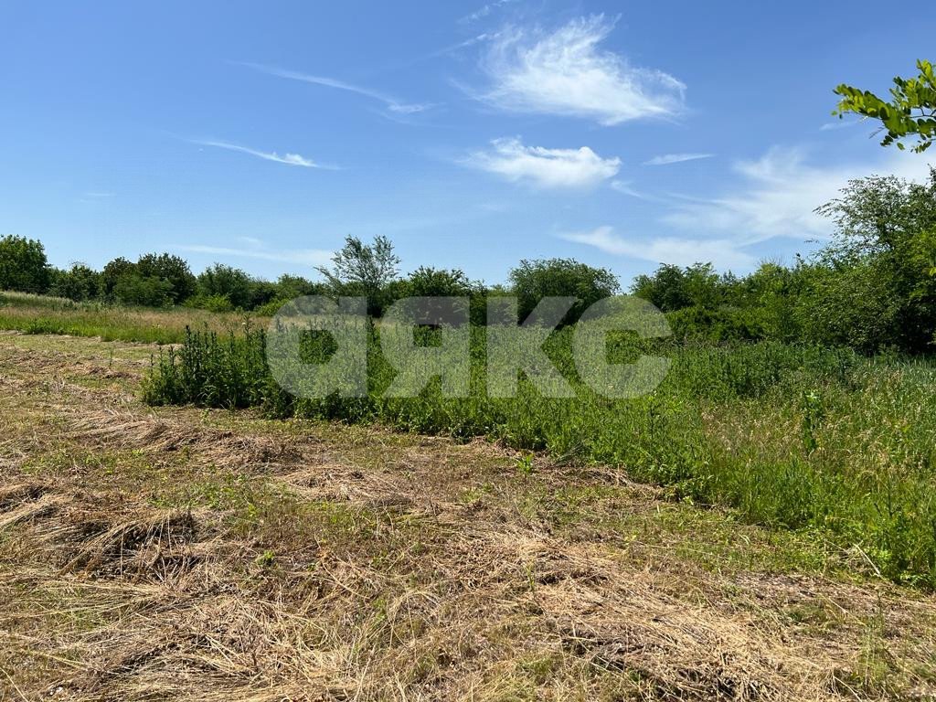 Фото №3: Личное подсобное хозяйство <span class="whitespace-nowrap">140 сот.</span> - Степнянский, ул. Гагарина