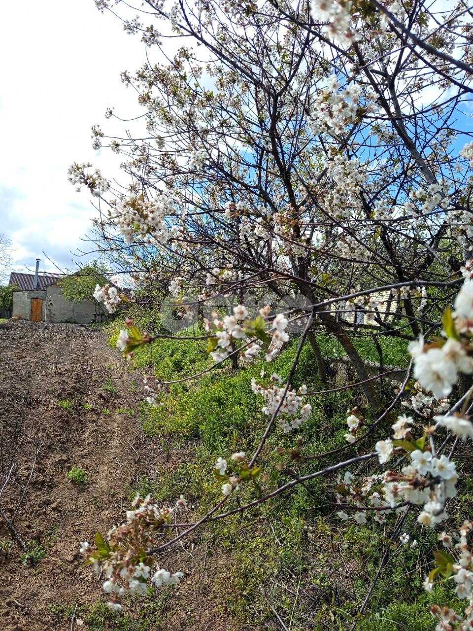 Фото №19: Личное подсобное хозяйство <span class="whitespace-nowrap">29 сот.</span> - Реконструктор, ул. Транспортная, 31