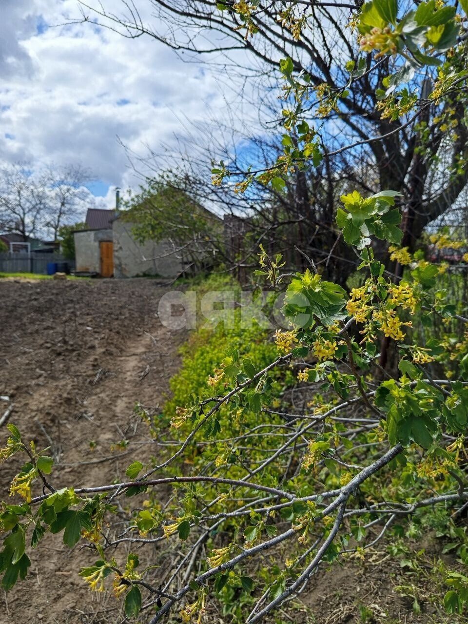 Фото №15: Личное подсобное хозяйство <span class="whitespace-nowrap">29 сот.</span> - Реконструктор, ул. Транспортная, 31