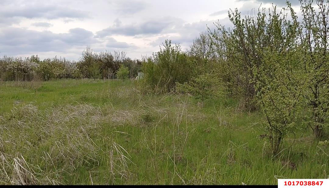 Фото №3: Земельный участок под ИЖС <span class="whitespace-nowrap">25 сот.</span> - Заречный, ул. Школьная, 176