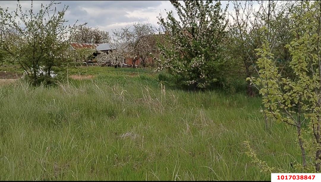 Фото №4: Земельный участок под ИЖС <span class="whitespace-nowrap">25 сот.</span> - Заречный, ул. Школьная, 176