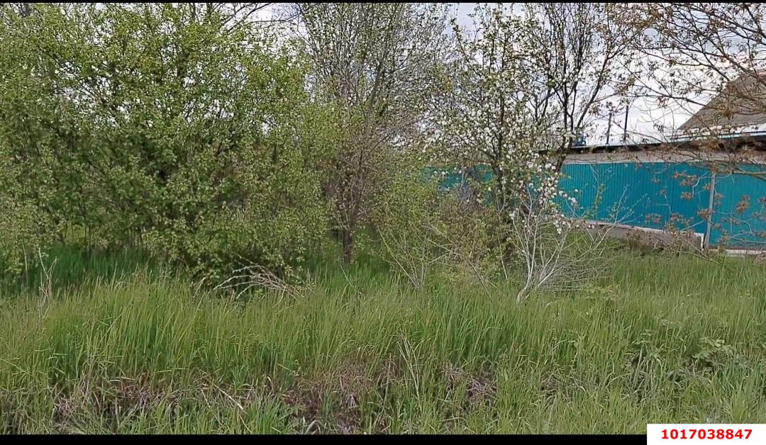 Фото №7: Земельный участок под ИЖС <span class="whitespace-nowrap">25 сот.</span> - Заречный, ул. Школьная, 176
