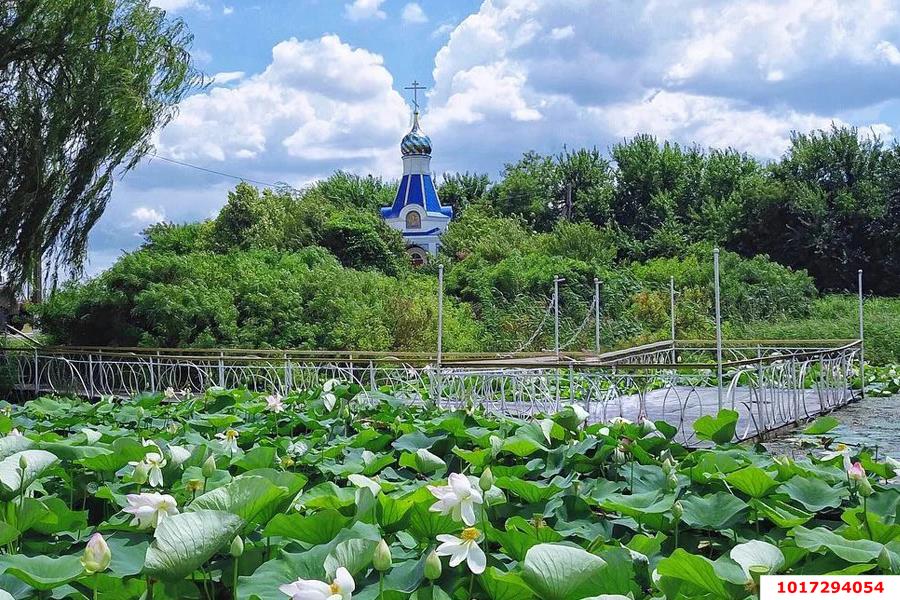Фото №3: Личное подсобное хозяйство <span class="whitespace-nowrap">8.21 сот.</span> - СТ Юбилейное, мкр. Прикубанский внутригородской округ, ул. Малиновая, 30
