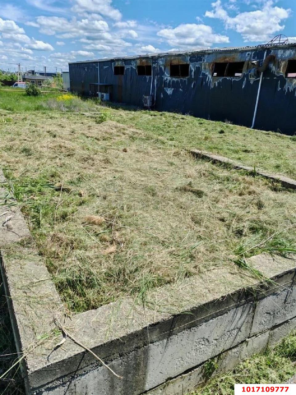 Фото №6: Земельный участок под ИЖС <span class="whitespace-nowrap">12 сот.</span> - Энем, ул. Молодёжная, 41