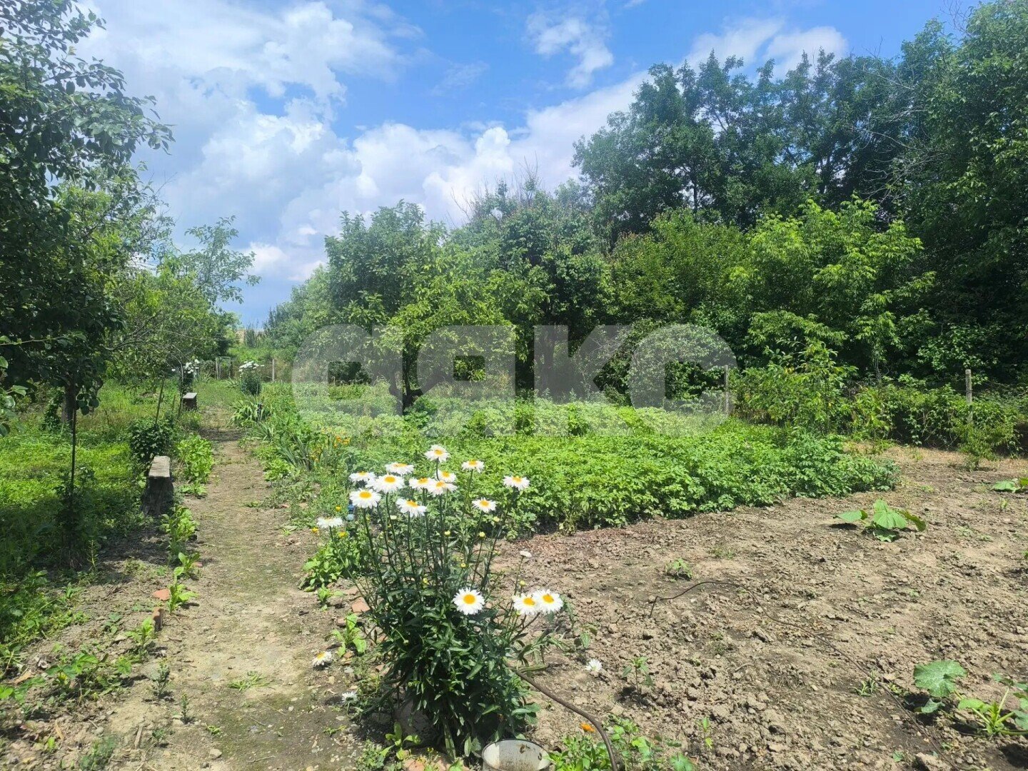Фото №8: Участок садоводство <span class="whitespace-nowrap">6.83 сот.</span> - Армавир, СНТ Восход, мкр. 1-е Отделение, ул. Тенистая, 717