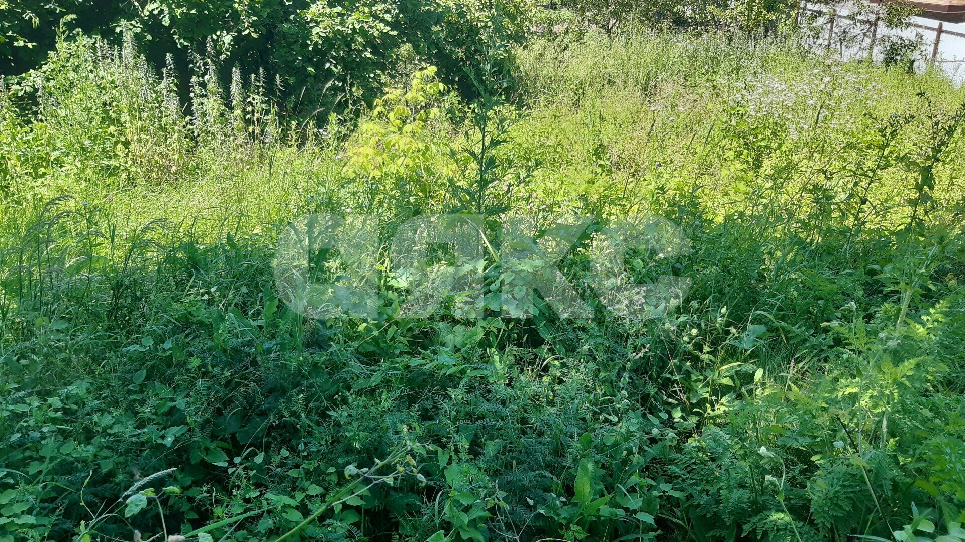 Фото №6: Земельный участок под ИЖС <span class="whitespace-nowrap">14 сот.</span> - Горячий Ключ, мкр. Курортная Зона, ул. Тараника
