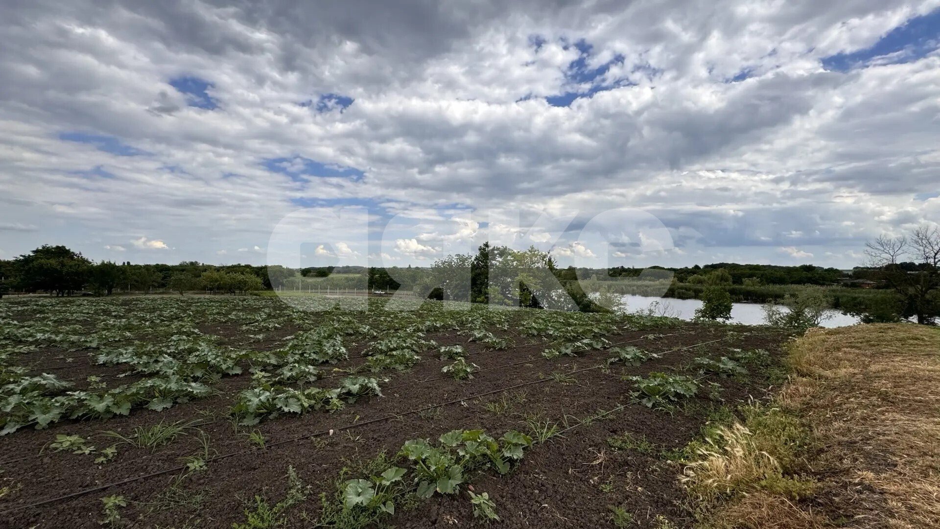 Фото №5: Личное подсобное хозяйство <span class="whitespace-nowrap">15.5 сот.</span> - Бураковский